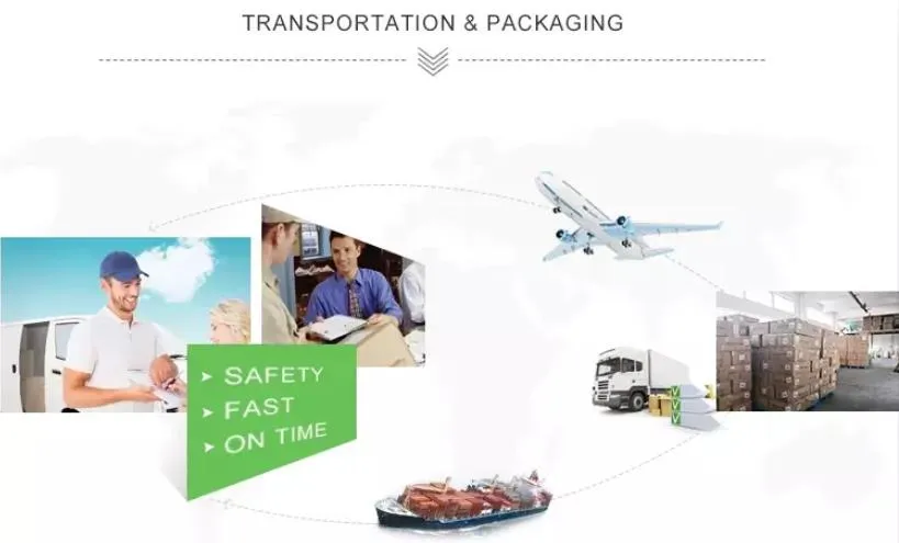 Customizable Hot and Sexy Underwear Ladies Panties