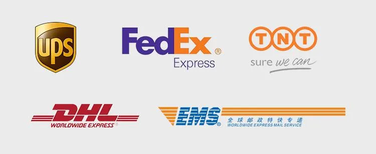 Fancy Summer Customized Beach Shorts Outdoor Sport Multi-Pocket Beach Shorts