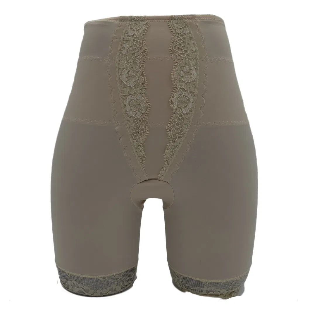 High Quality OEM Women Underwear Long Leg Lace Lady Panty (JMC22025)