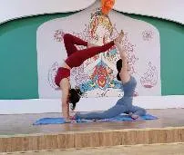 High Waisted Leggings Yoga Pants Comfy Workout