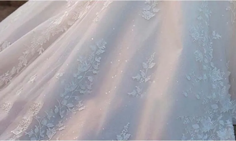 HWD037 Big Tailed New Wedding Dress Retro Sexy Tulle V-Neck Long Sleeve Wedding Dress Bridal