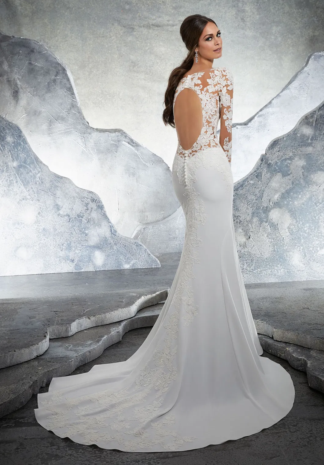 Illusion Long Sleeve Bridal Wedding Gown Chiffon Beach Country Hollow Back Wedding Dress