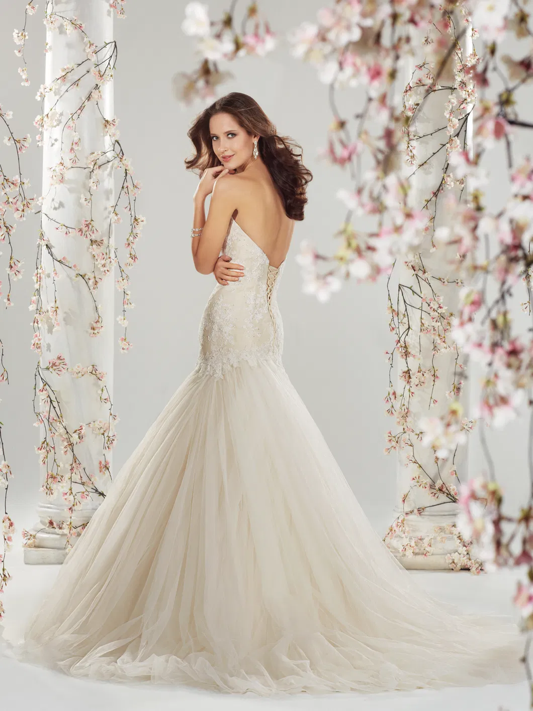 Lace Princess Bridal Wedding Dresses Mermaid Wedding Dress