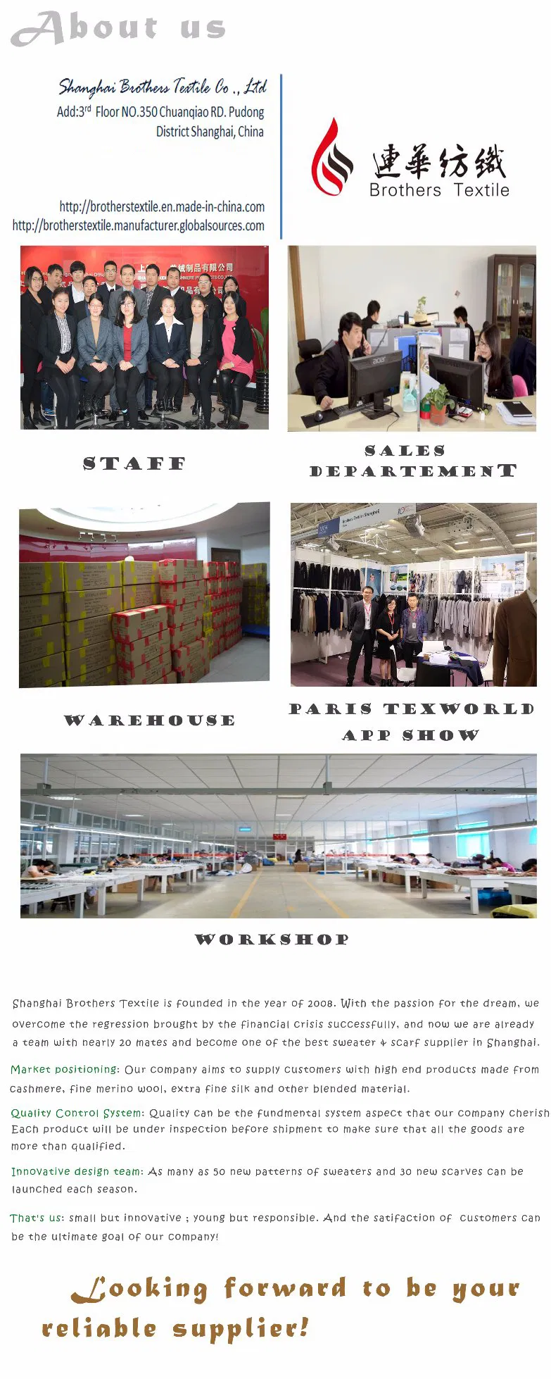 Ladies Fashion Turtleneck Pullover (2836-2013001)