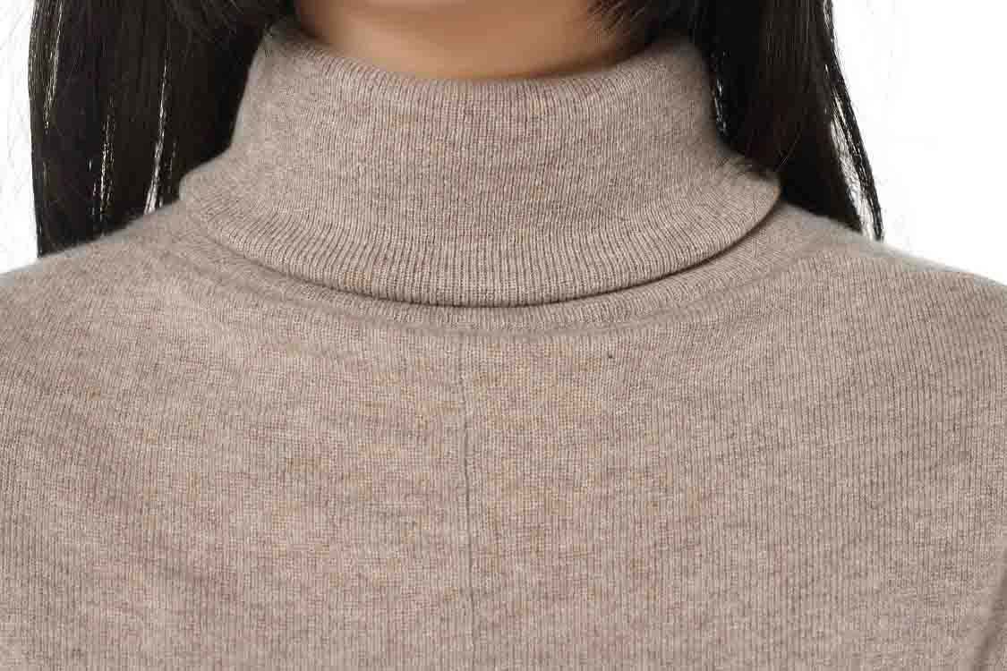 Ladies Fashion Turtleneck Pullover (2836-2013001)