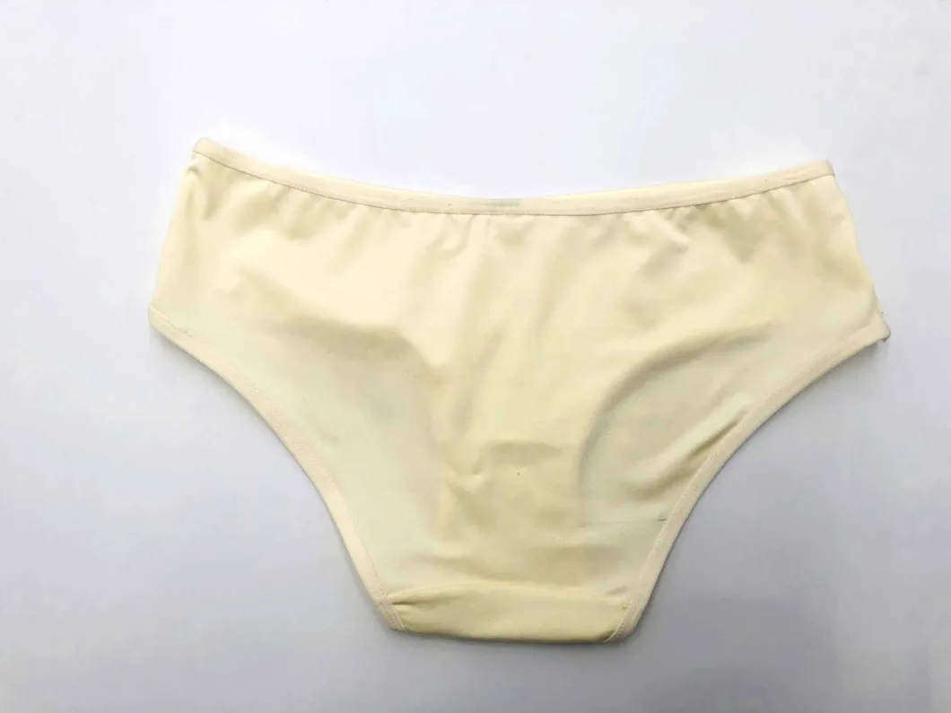 Ladies Undewear Lady Underpant Ladies Fashion Panty Ladies Lingerie Sexy Underwear Sexy Bikini Ladies Fashion Polyester Panty-BSCI/Walmart