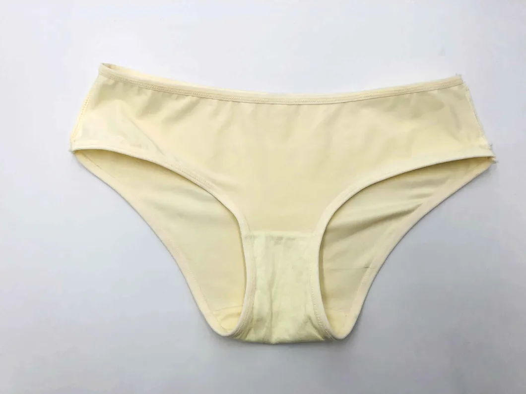 Ladies Undewear Lady Underpant Ladies Fashion Panty Ladies Lingerie Sexy Underwear Sexy Bikini Ladies Fashion Polyester Panty-BSCI/Walmart