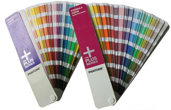 Lady′s Short Sleeve Hoodie Embroidery