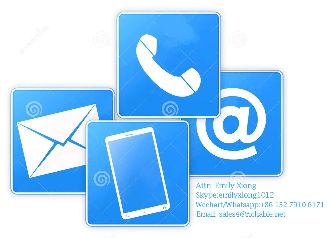 Lady′s Short Sleeve Hoodie Embroidery