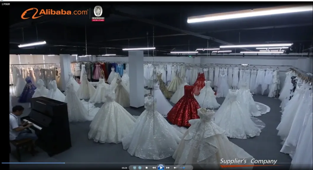 Luxry Crystals Heavy Beading Long Sleeve V-Neck Organza Tull Lace Bride′ S Party Arab Wedding Dress