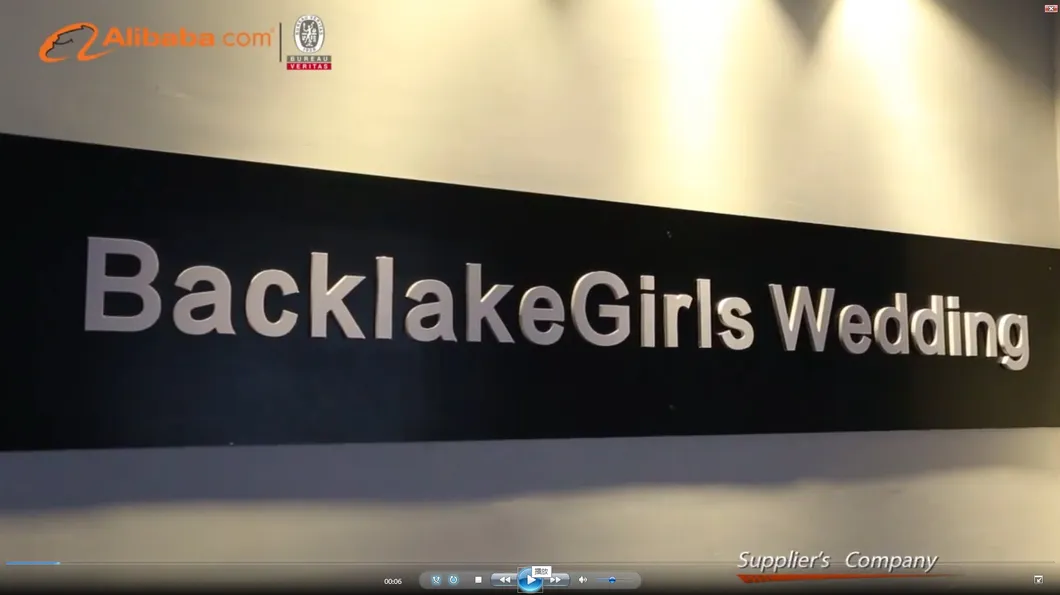 Luxury Sequin Beaded Sexy Custom-Made Size Bridal Dress Wedding Dresses Gown