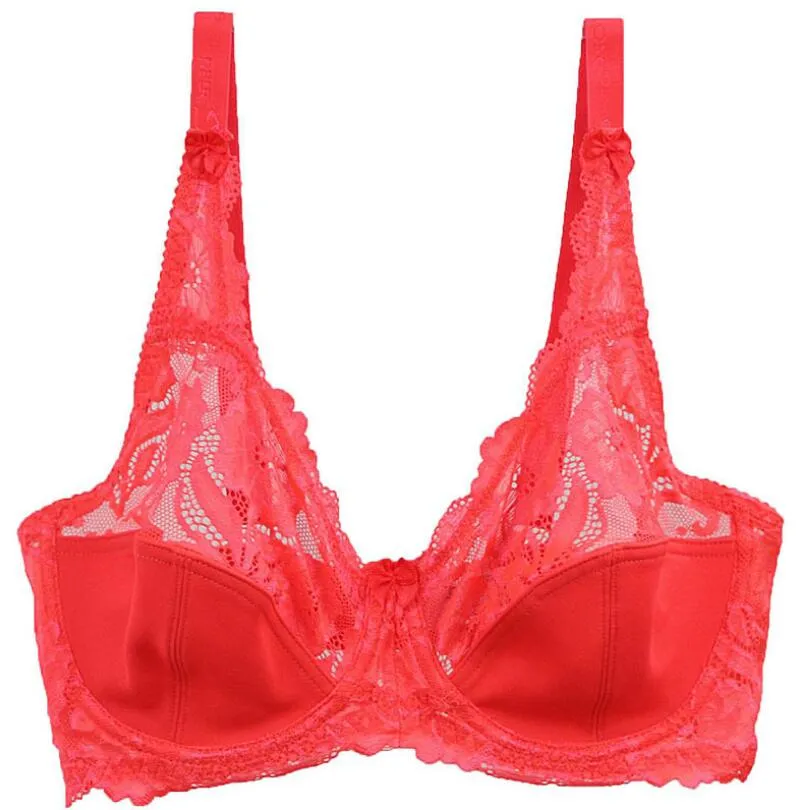 New Arrival Sexy Lace Big Size Bra for Lady