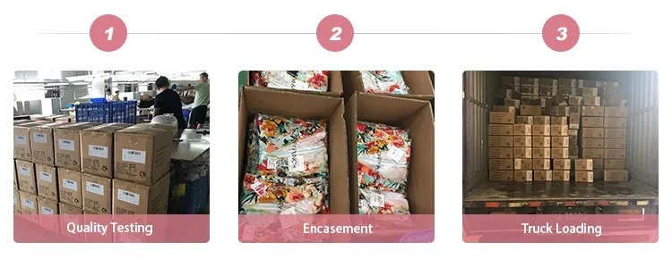 New Fashion Crop Short Sleeve Tops for Casual Wear Wholesale