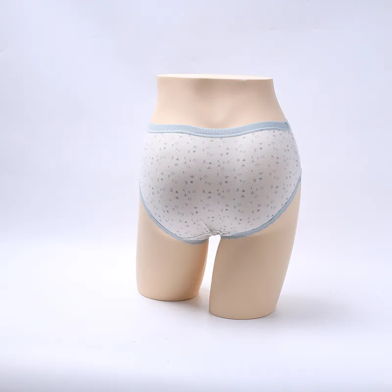 New Women′s Cotton Panties Girl Briefs Cotton Underwear Bikini Underwear Sexy Ladies Briefs Lady Underwear Sexy