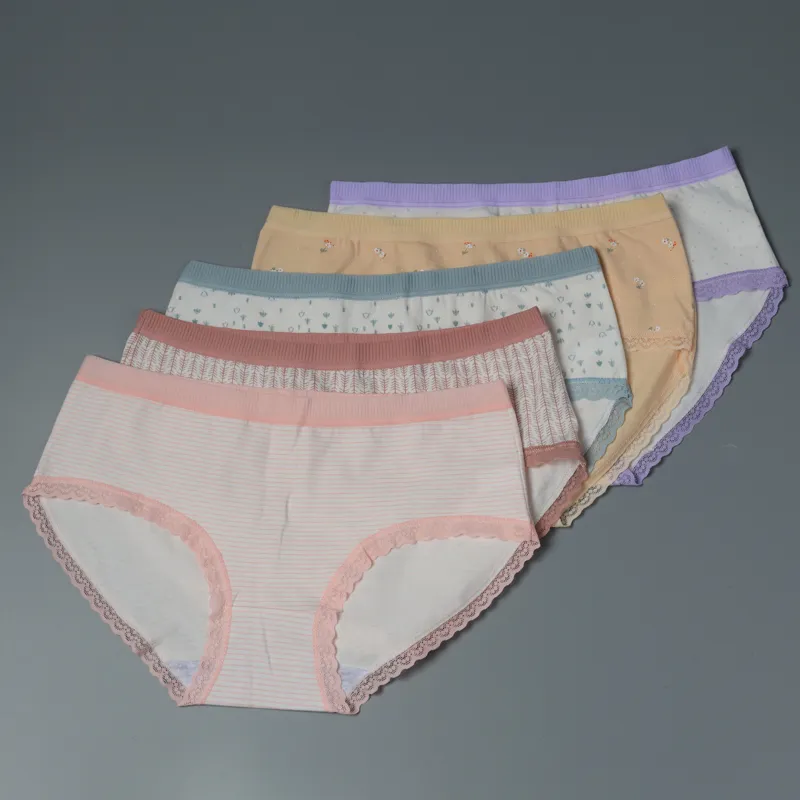 New Women′s Cotton Panties Girl Briefs Cotton Underwear Bikini Underwear Sexy Ladies Briefs Lady Underwear Sexy