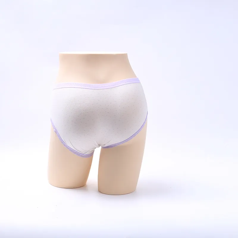 New Women′s Cotton Panties Girl Briefs Cotton Underwear Bikini Underwear Sexy Ladies Briefs Lady Underwear Sexy
