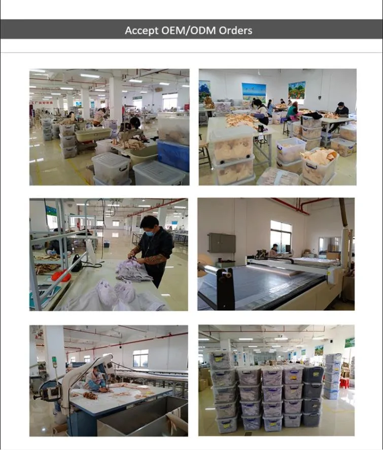 Push up Padded Bras for Women Lace Plus Size Bra Add Two Cup Non-Wired Brassiere a B C Cup Bra