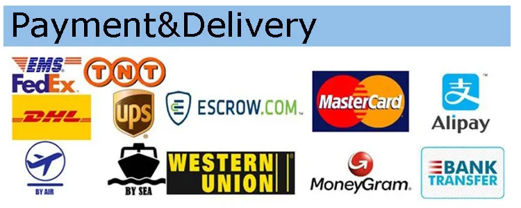 Sexy Ladies Yoga Activewear Top Mesh Neckline Training Sports Bra