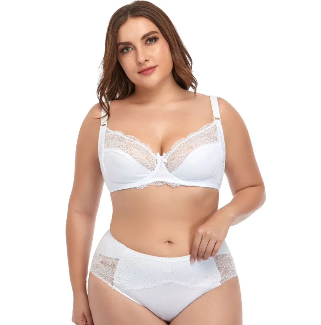 Six Colors of Chilon Big Size for Women Lady′s Underwear Set