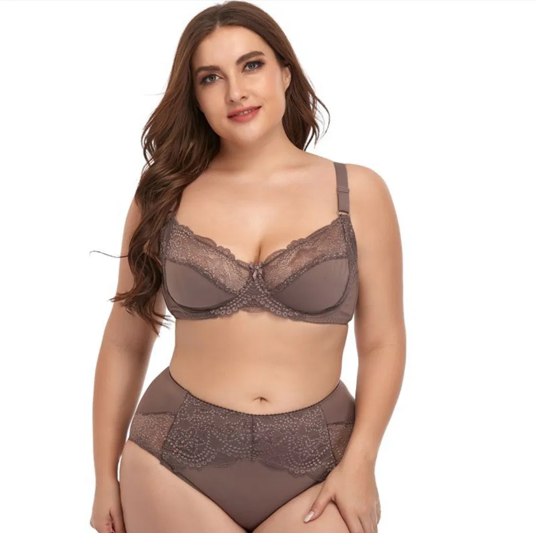 Six Colors of Chilon Big Size for Women Lady′s Underwear Set