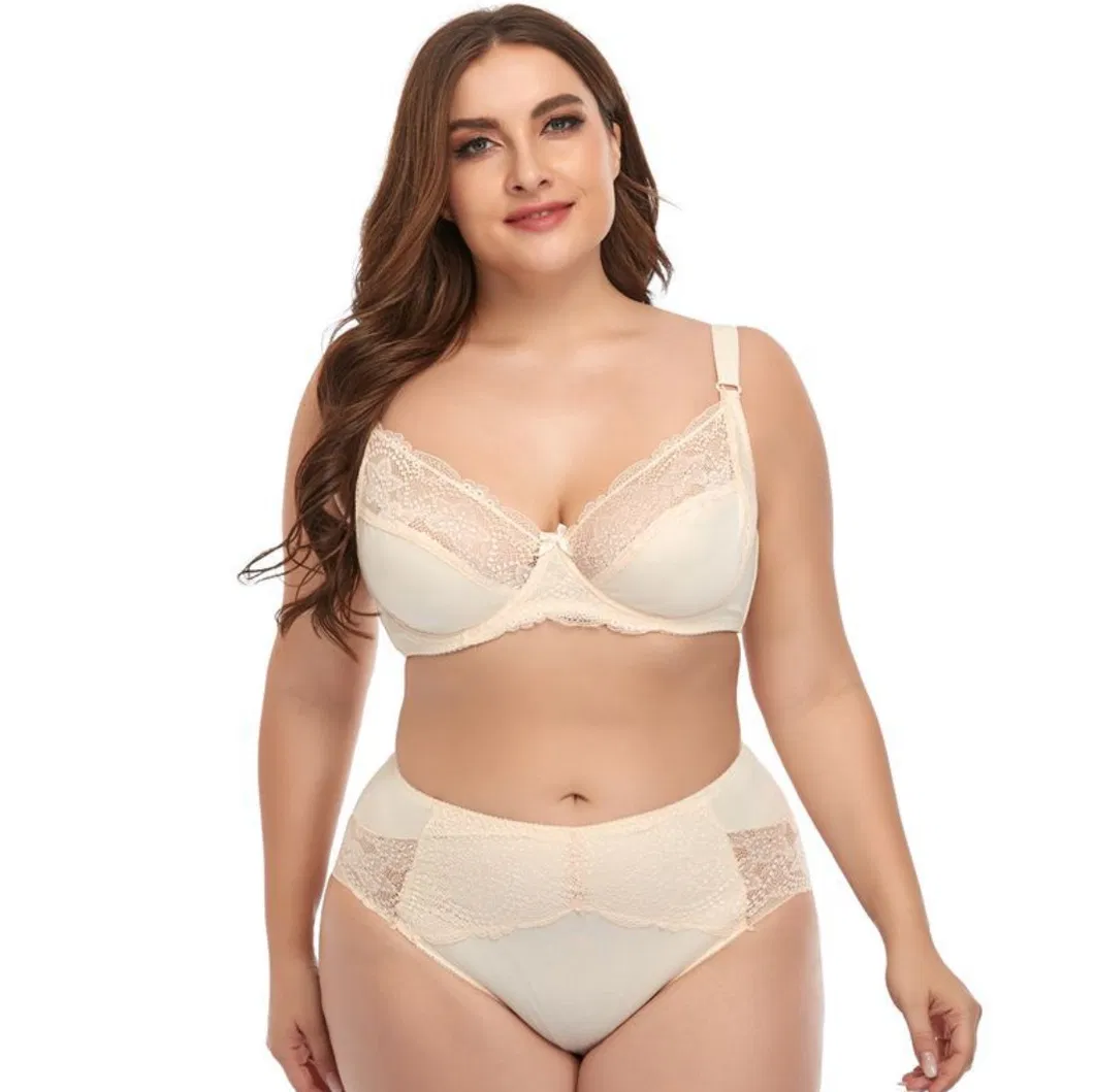 Six Colors of Chilon Big Size for Women Lady′s Underwear Set