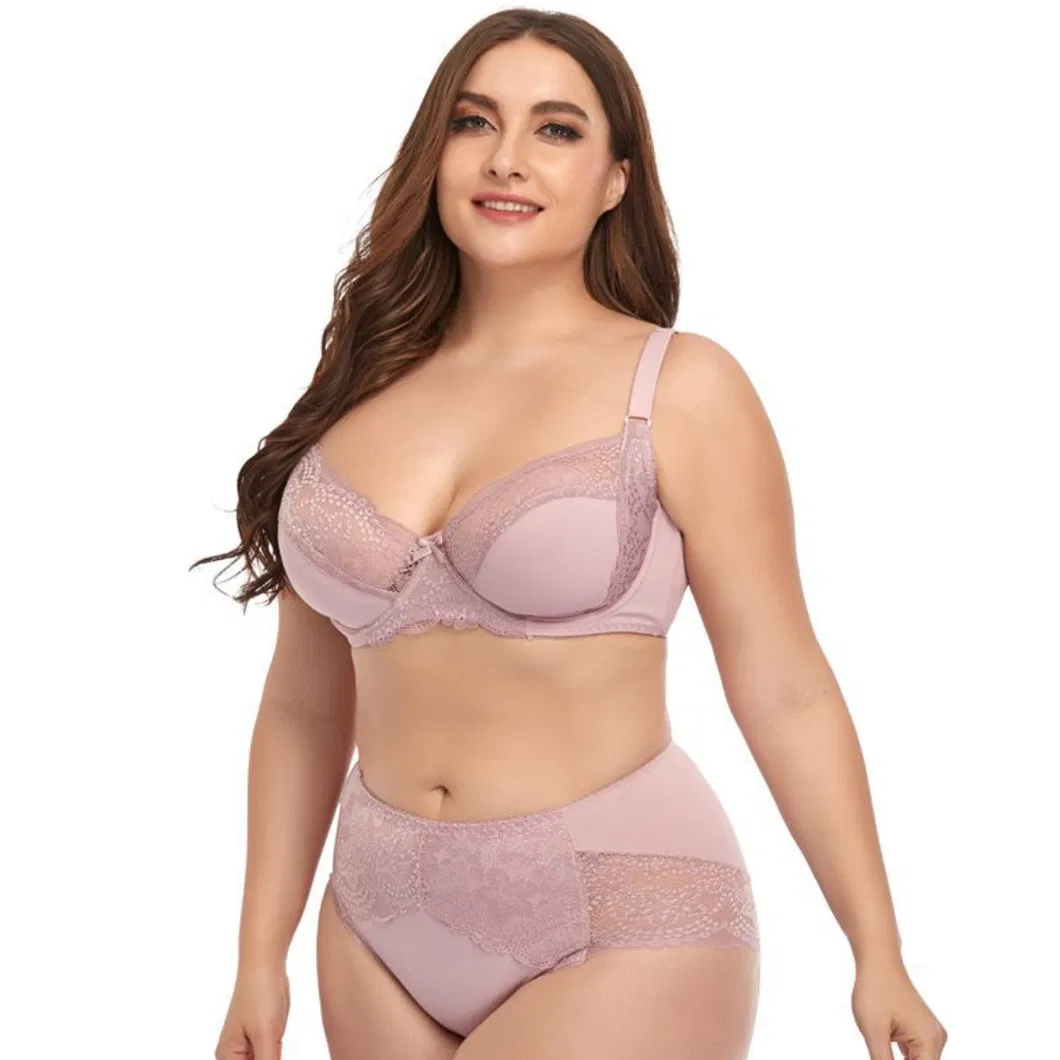 Six Colors of Chilon Big Size for Women Lady′s Underwear Set