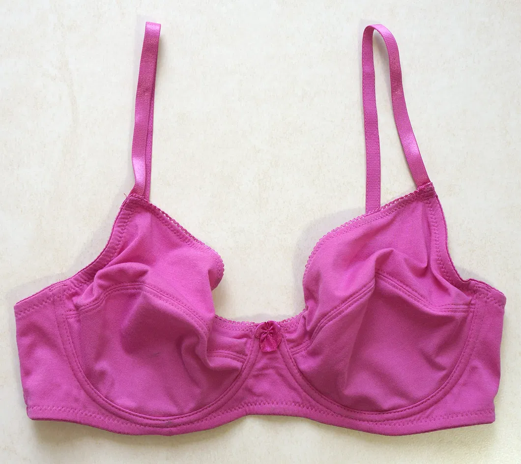 Underwear Set Non-Padded Cotton Bra with Bikini