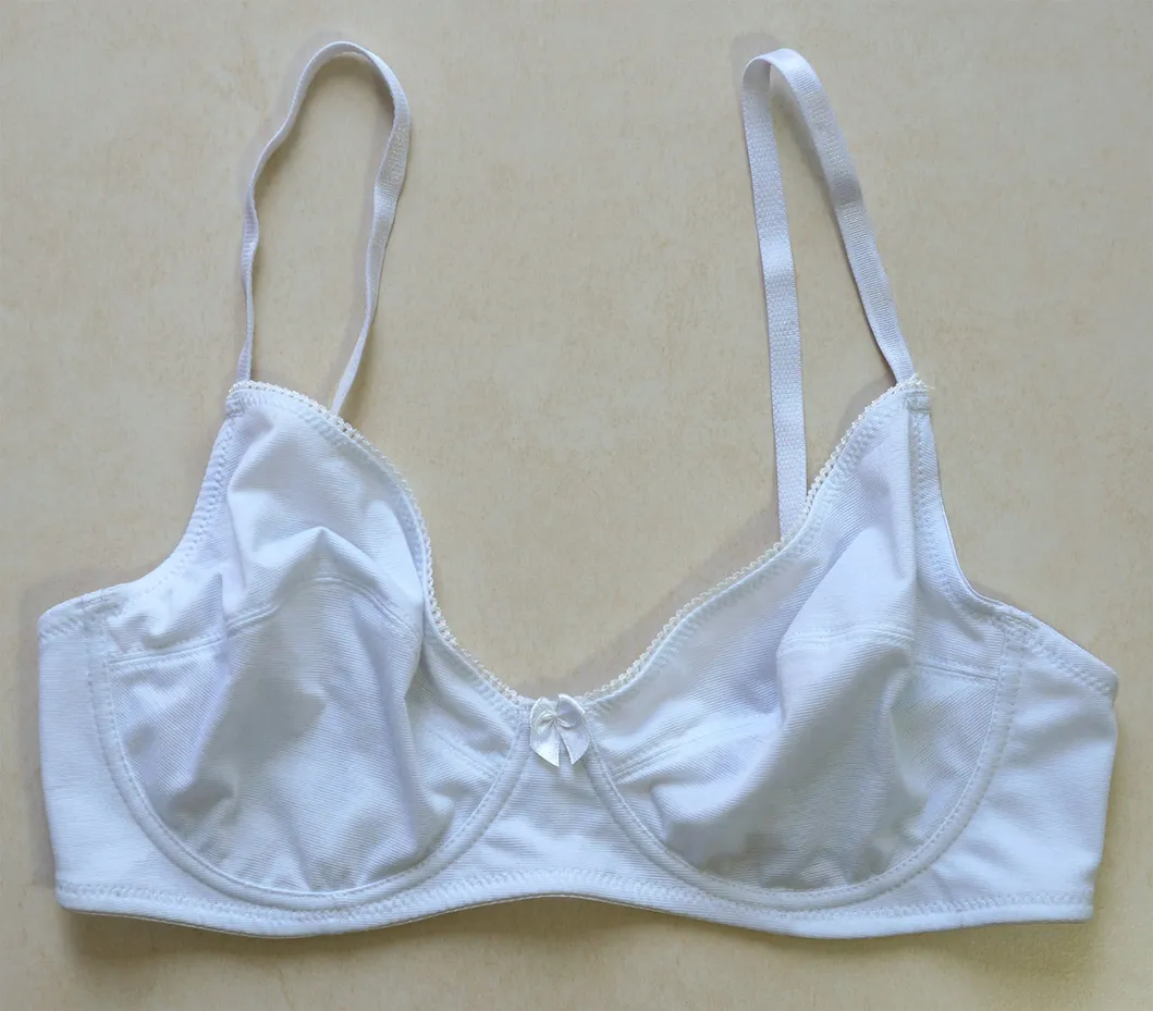 Underwear Set Non-Padded Cotton Bra with Bikini