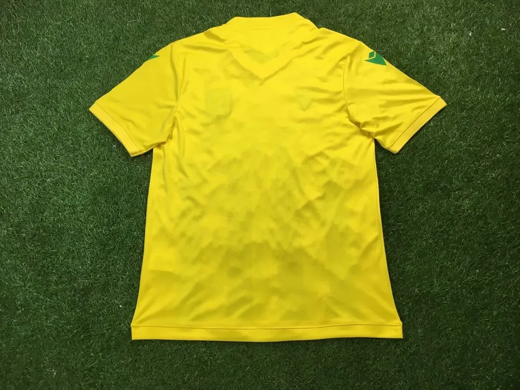 Wholesale 20/21 Mens Jersey Nantes Football Club Soccer League Cup Sportswear Shirts
