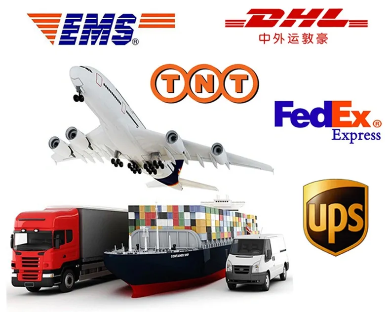 Women Over-The-Knee Elastic Band Super Soft Popular Print Dragonfly, Plant Leggings