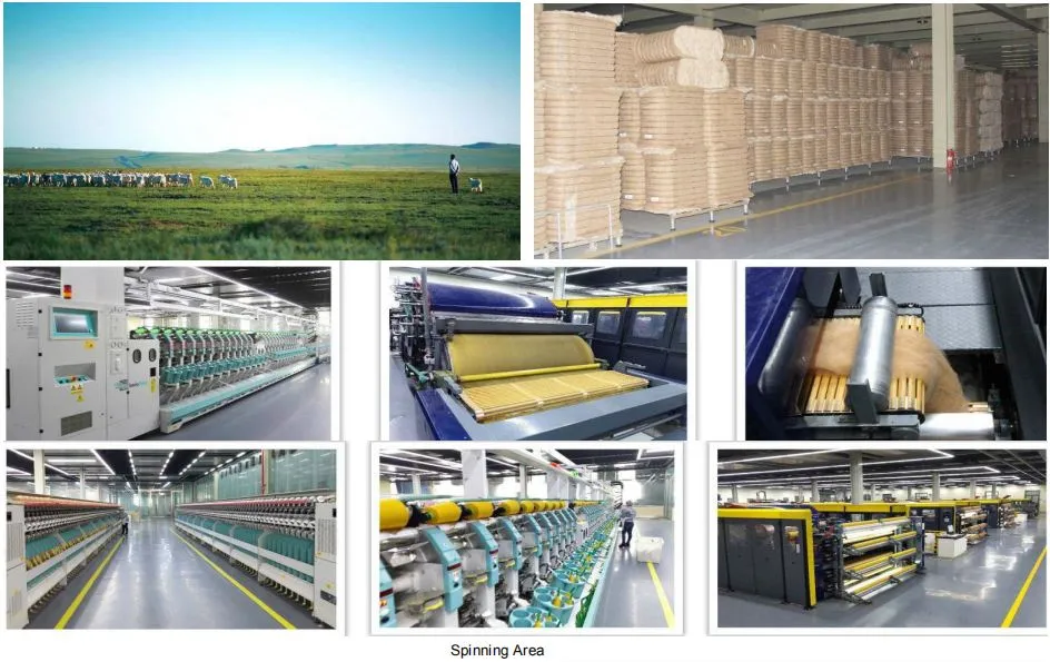 Women′s Fashion Royal Cashmere & Merino Wool Blends Fashion Poncho