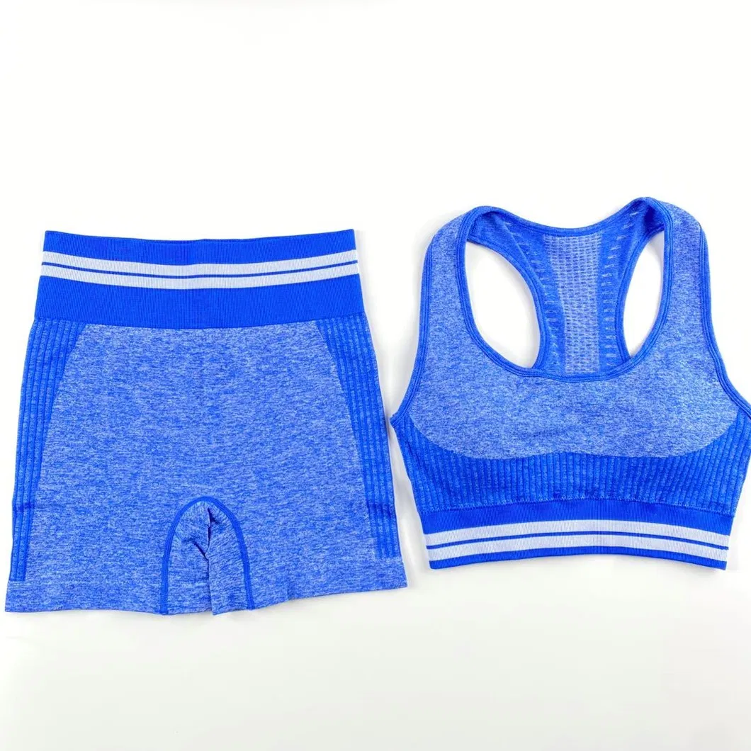 Women Sleeveless Sports Wear Comfortable Gym Wear Seamless Yoga Wear Set
