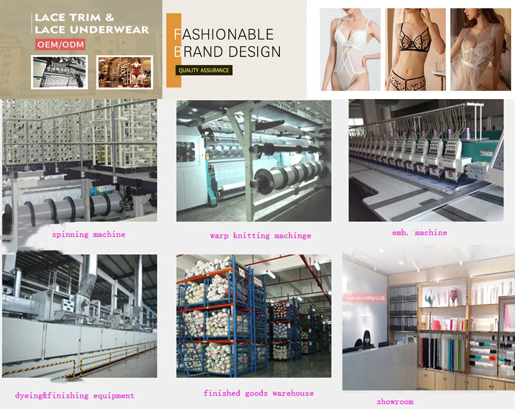 Womens High Elastic Middle Waist Modal Crotch Sexy Hot Transparent Lace Ladies Underwear Panties