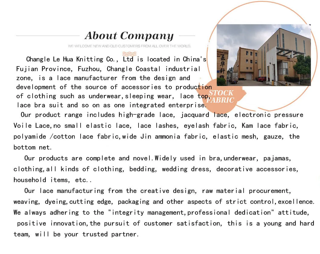 Womens High Elastic Middle Waist Modal Crotch Sexy Hot Transparent Lace Ladies Underwear Panties